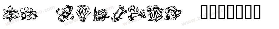 DT Flowers 2字体转换